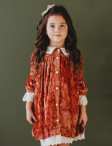 Ren & Rouge Rust Velvet Dress